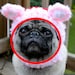 Dog Hat - L'il Stinker Skunk/Made To Order- As seen in moderndog Magazine