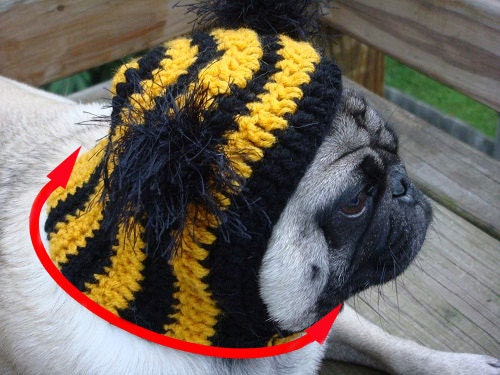 Dog Hat - L'il Stinker Skunk/Made To Order- As seen in moderndog Magazine