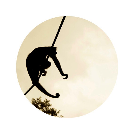 Brazilian monkey photo 20x20cm (8x8inch) Sepia Funny sillouette photo Kids decor Modern wall decor Neutral curious willingness