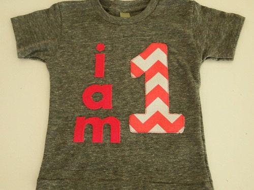 Hot pink and white Chevron Shirt Organic Shirt Blend customize colors girls birthday shirt first birthday and up