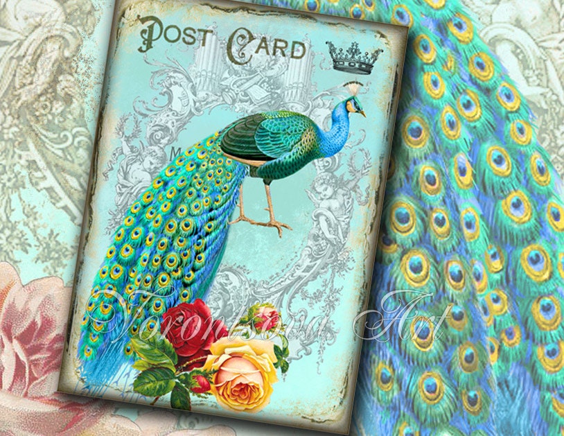 VINTAGE PEACOCK - Digital Collage Sheet. Set of 4 cards. Jewelry holders. Printable Download Images v4735