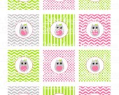 Owl Girl Green Grey and Pink Birthday Digital Cupcake Toppers  2 Inch Circle Tags PRINTABLE