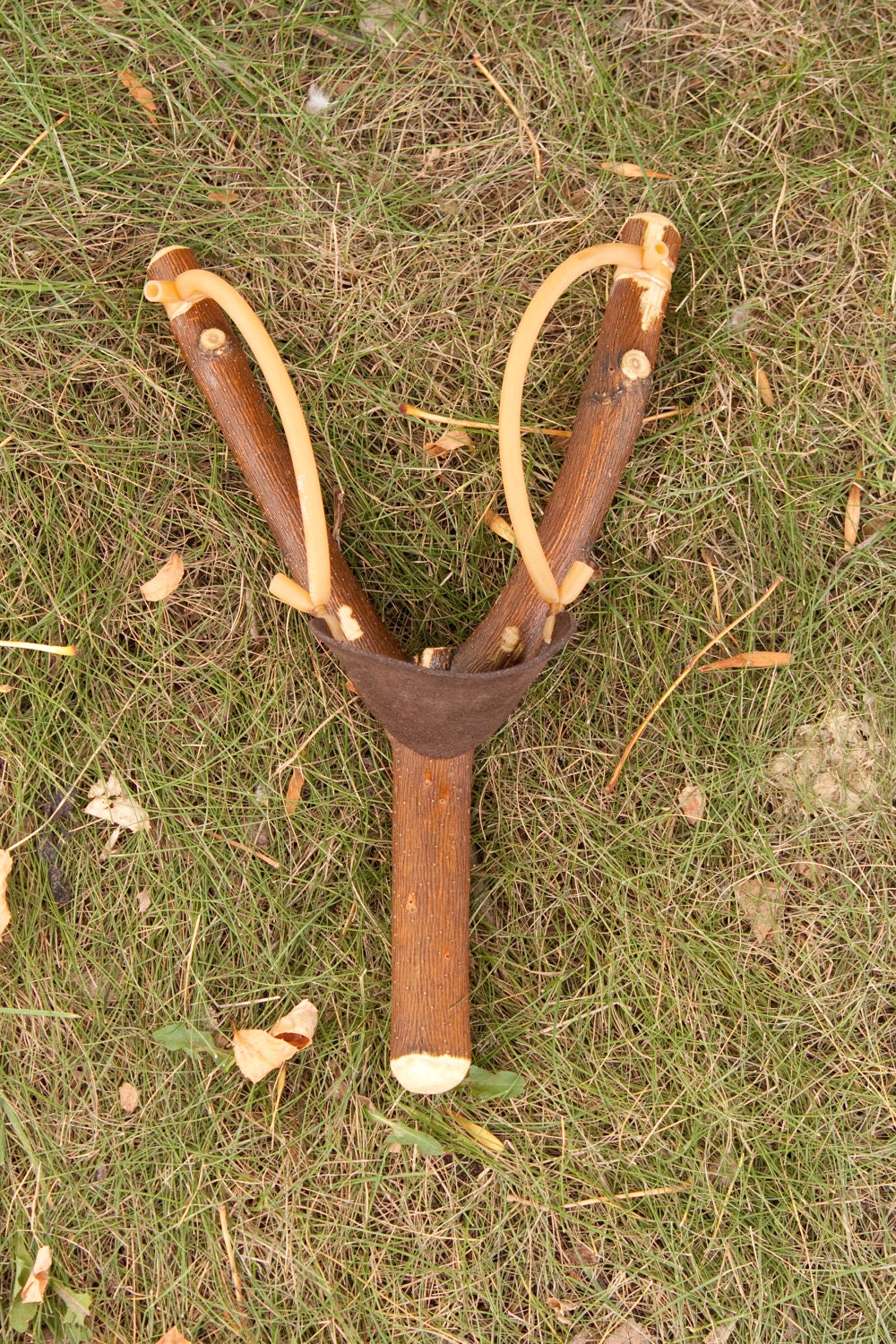 Slingshot