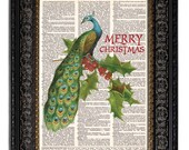 dictionary art print PEACOCK & HOLLY Mixed Media Christmas Art Holiday Home Decor 8x10 art print Merry Christmas
