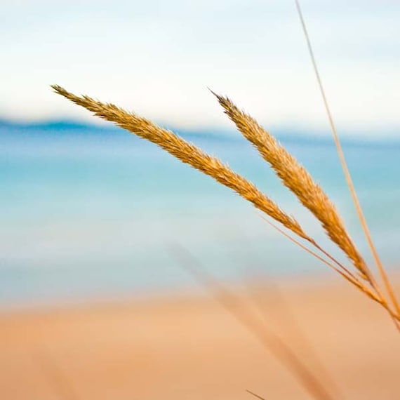 Beach photography - nautical decor 5x5 fine art photography print - blue sky ocean photography summer beach print nature macro photography