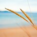 Beach photography - nautical decor 5x5 fine art photography print - blue sky ocean photography summer beach print nature macro photography