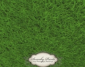 2ft x 2ft PRODUCT  / Vinyl Photography Backdrop / Green Grass