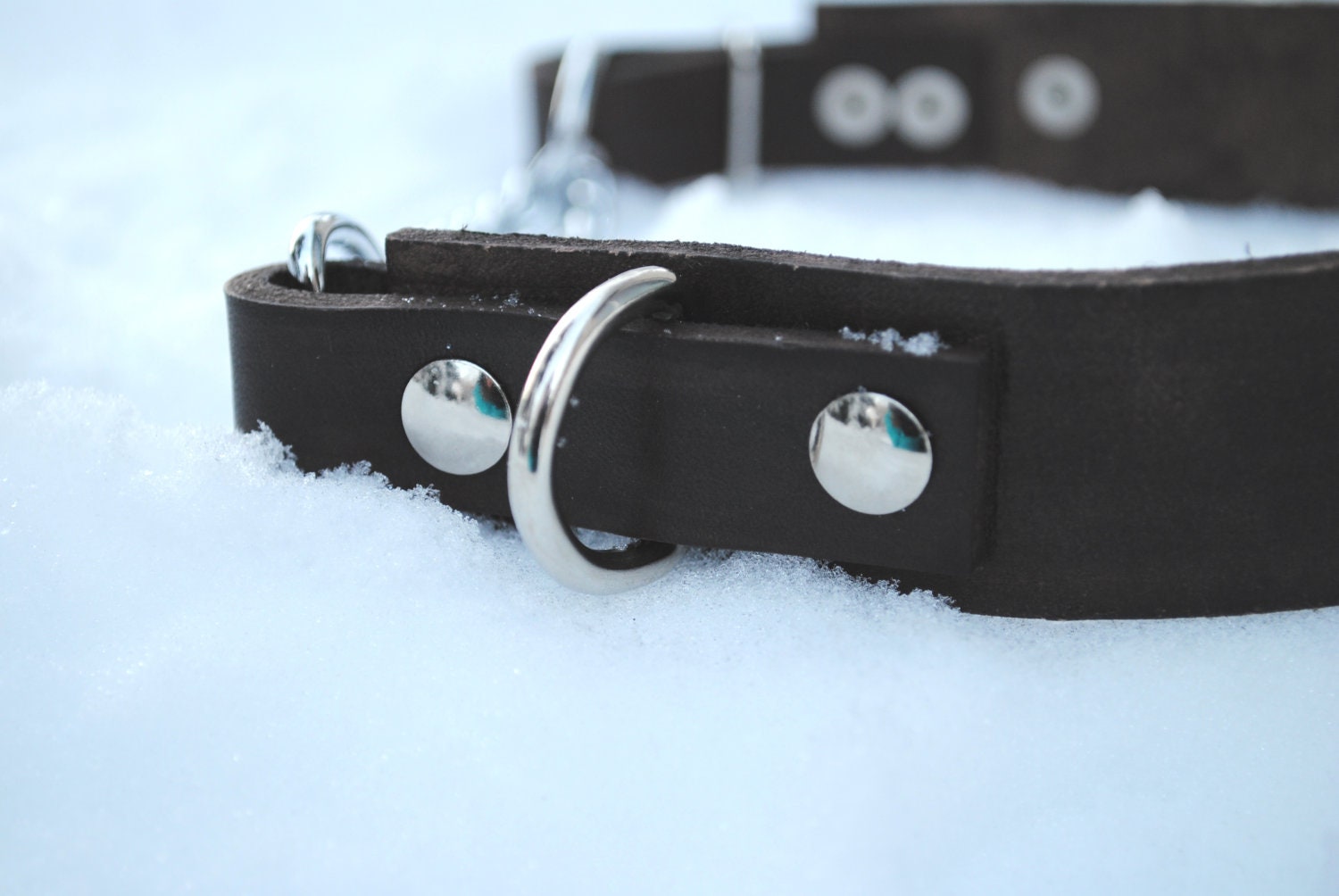SALE Adjustable Leather Martingale Dog Collar - OOAK