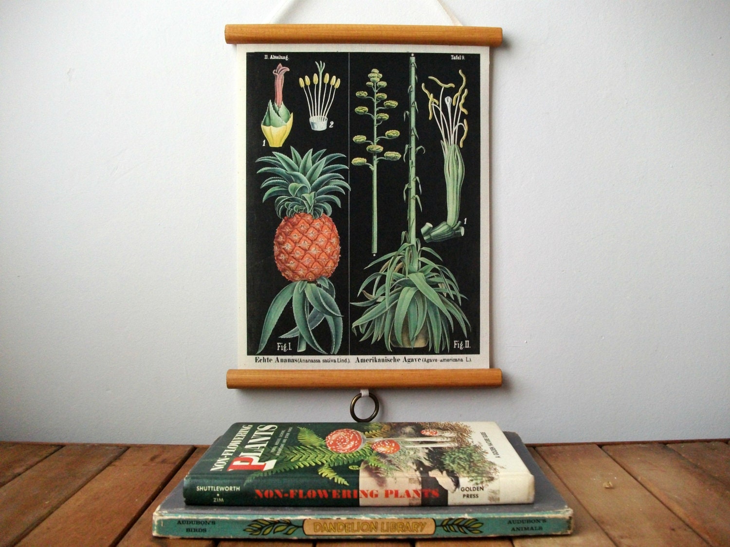 Mini Printed Fabric Vintage Style School Botanical Chart with Wood Trim - Pineapple (9" x 12")