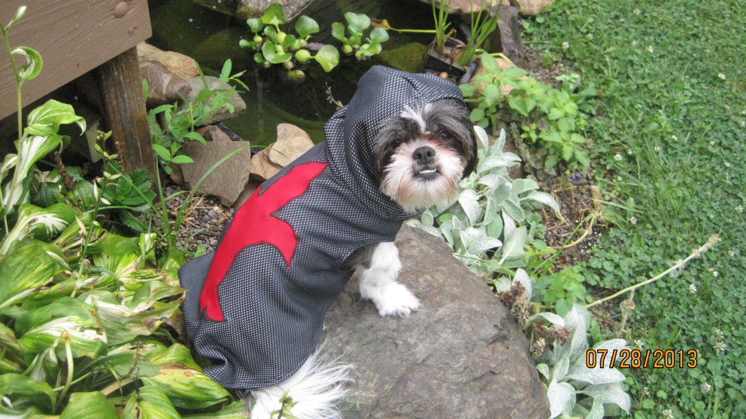 Renaissance/Medieval Knight Halloween Pet/Dog Costume size Medium