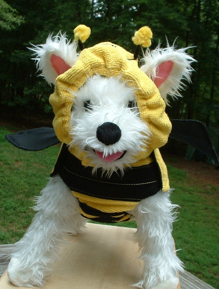 Bumblebee Dog Costume-----Bright Yellow n Solid Black -----Striking Pet Costume----Yorkie size Dog Jacket n Hat