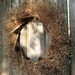 Natural Fall Wreath - Simple Pleasures - Lapsana, Orchardgrass, & Japanese Aralia