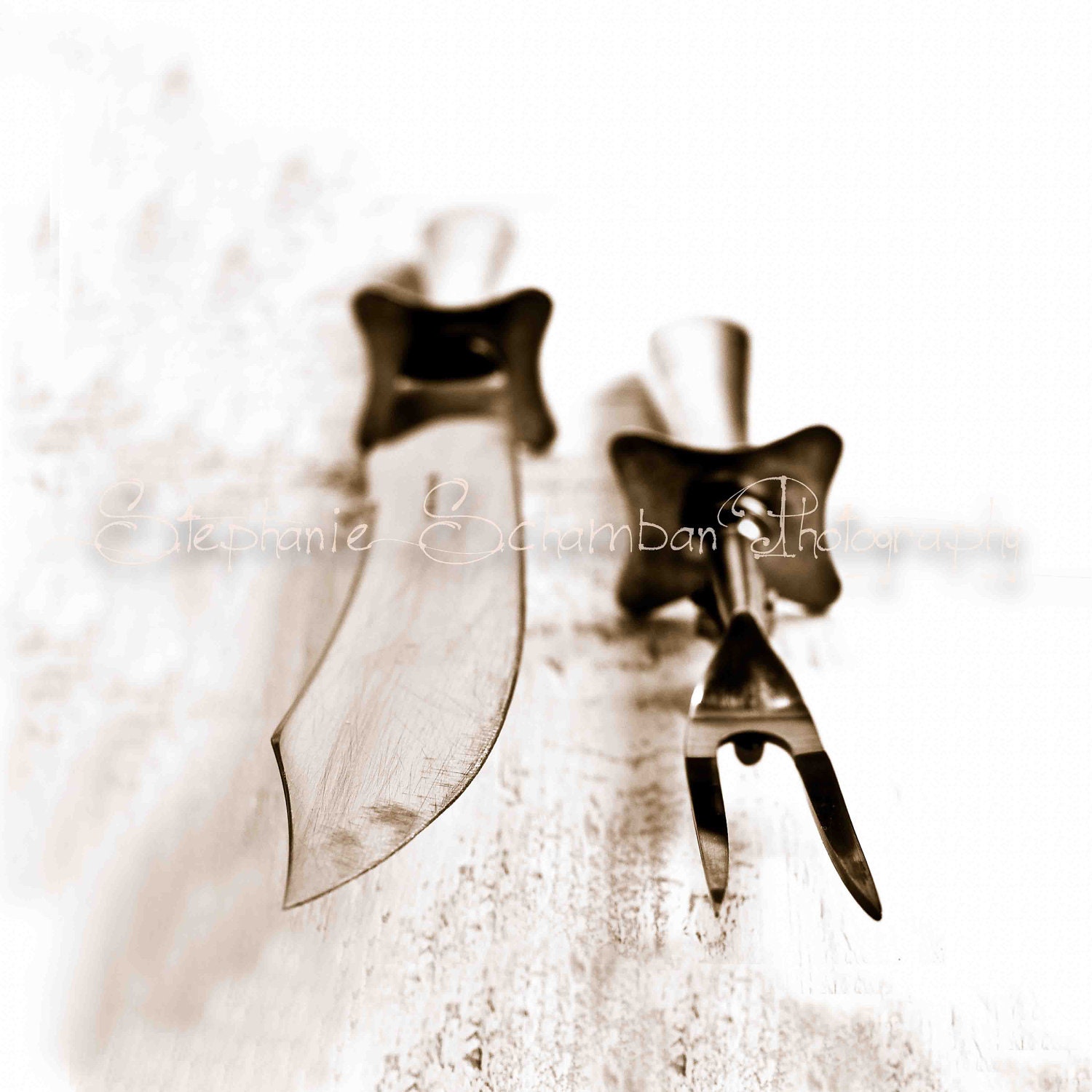11x14 Sepia Toned Print : Carving Set