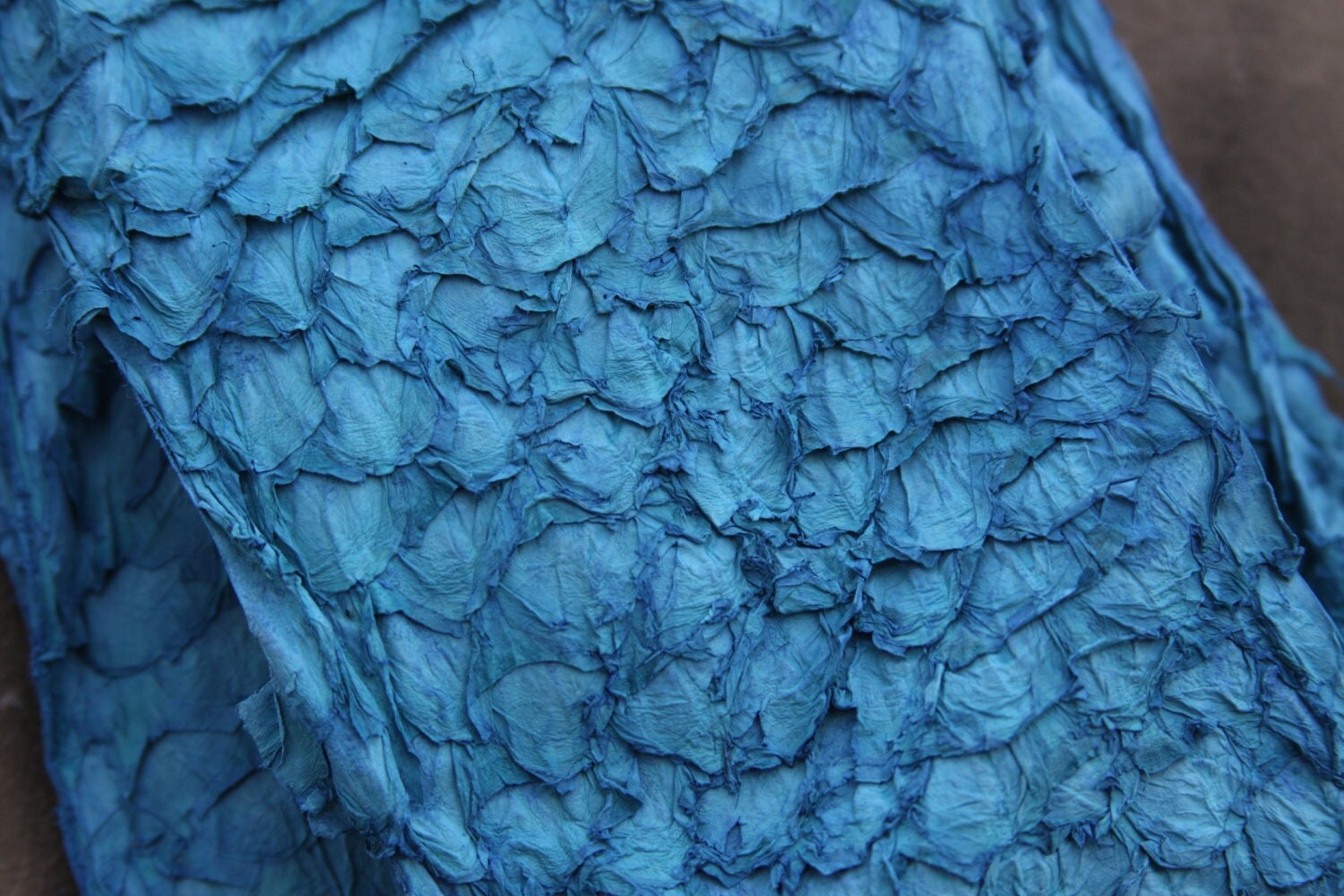 Texture Of Fish