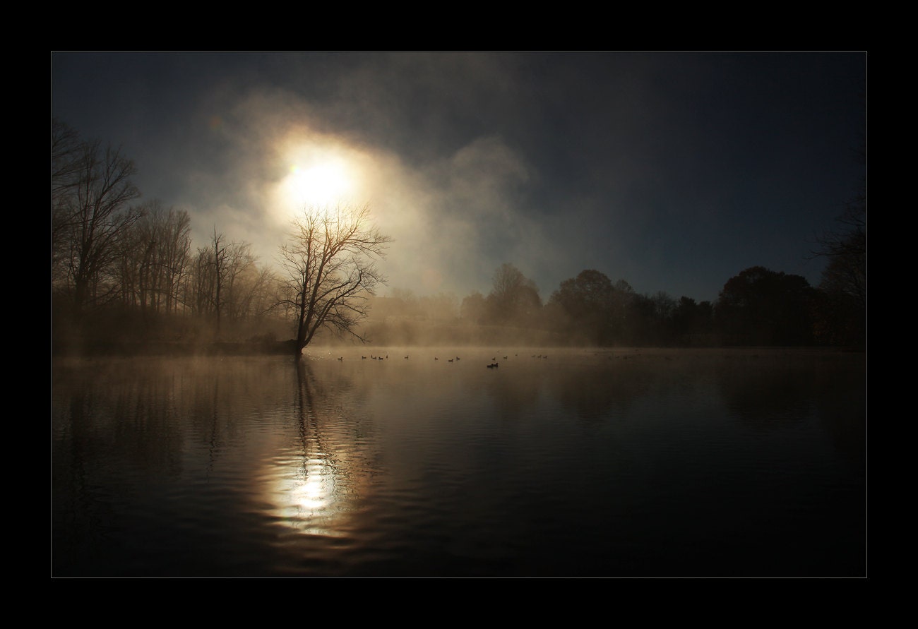 Light and Shade - 11" x 14" Matted Print - morning, sunrise, maine, mist, fog, stream, pond, photography, photo, fine art, nature, landscape