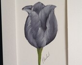 Black Tulip Oil Painting on Canvas Greeting Card