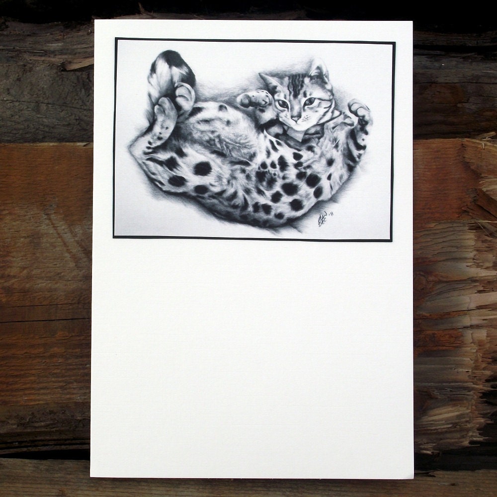 Handmade Fine Art Blank Greetings Card - Bengal Cat