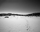 Footprints - Mojave National Preserve - California desert - summer - sand - mountains -  black and white 8x10 matte print