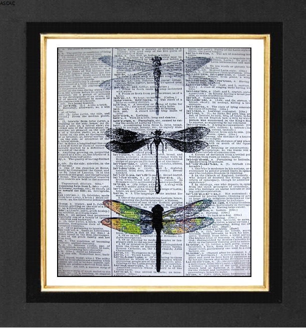 Dragonfly Three -ORIGINAL ARTWORK - Mixed Media art print on 8x10 Vintage Dictionary page, Dictionary art, Dictionary print
