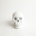 RESERVED for Casey - The Wiloughby - White Faux Human Head - Resin Skeleton - Sugar Skull Like