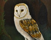 Owl eyes