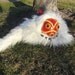Princess Mononoke Pelt and Mask