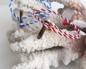 Sea Urchin Friendship Bracelet - Blue White