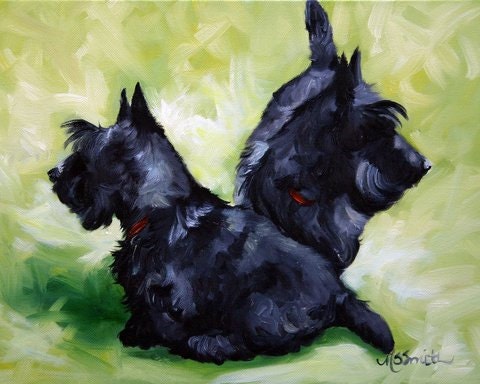 black scottish terrier