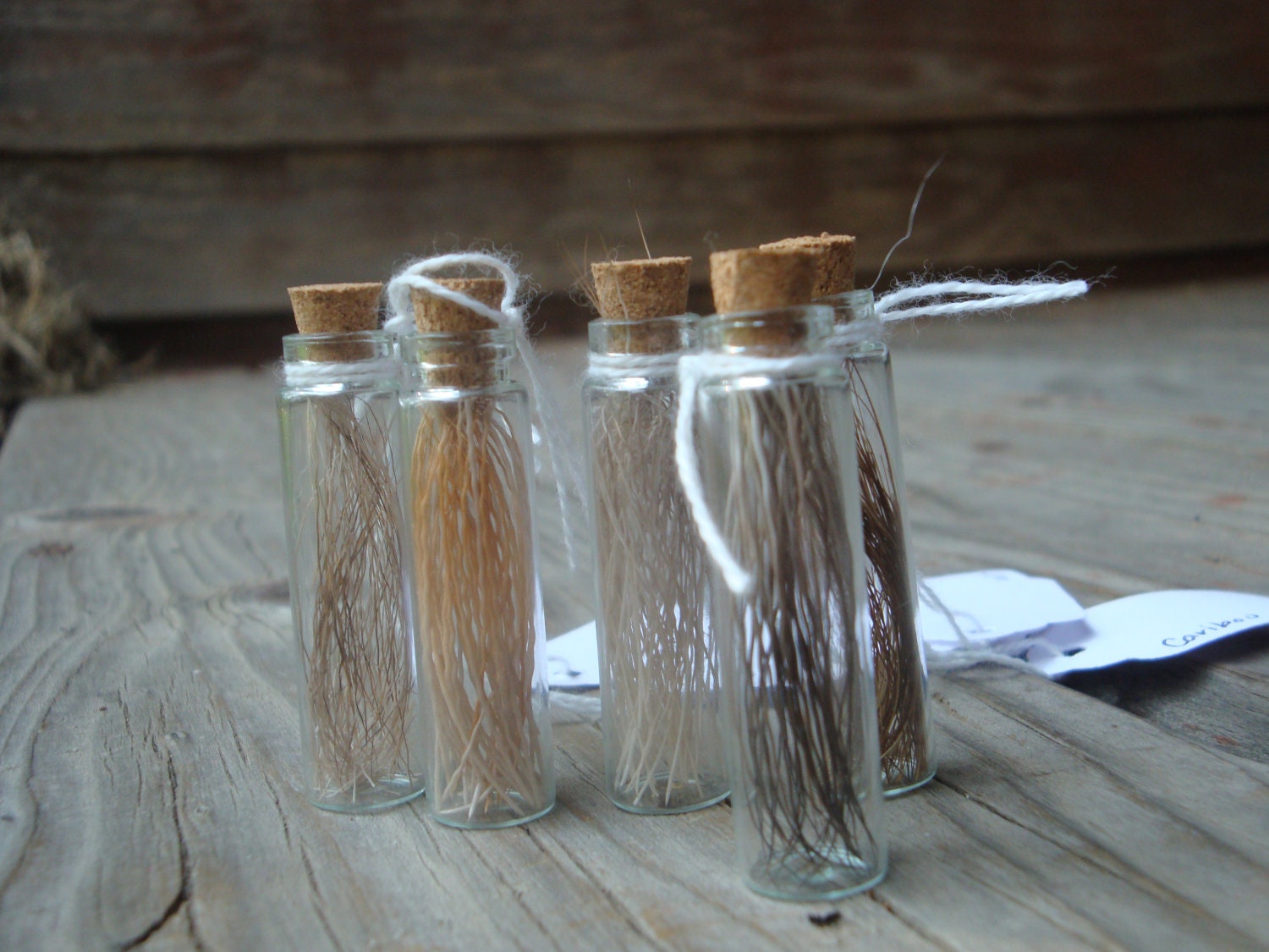 Cervidae Totem Bottle Trio Deer, Reindeer, Moose, and  Pronghorn