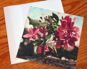 Fine Art Note Card - Fragrant Spring