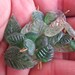 Forest and light green assorted glass leaf and heart pendants