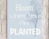 Bloom Where You Are Planted - Inspirational Quotes Typography - Quote Letterpress, Word Art - DIY Printable Digital File