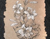 White Lily Flowers. Line Drawing Botanical Art. Fall Original Artwork. Black Ink. Handmade Paper. Christmas Gift. Home Decor Wall Hanging. - AugustArtStudio