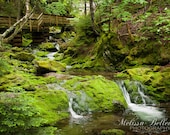 Photographic Print "Dickson Falls - Fundy National Park"