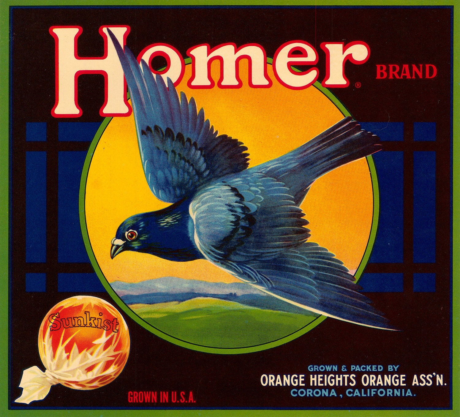 Vintage Crate Label - Homer Brand Sunkist Oranges featuring a Pigeon (1940's)