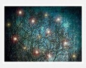 Nature Photography, dark blue, night, fairies, woodlands, whimsical, stars, The Stargazers Fantasy fine art photography print 8x12