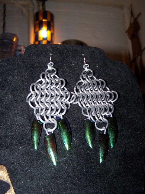 6 in 1 beetle shell earrings