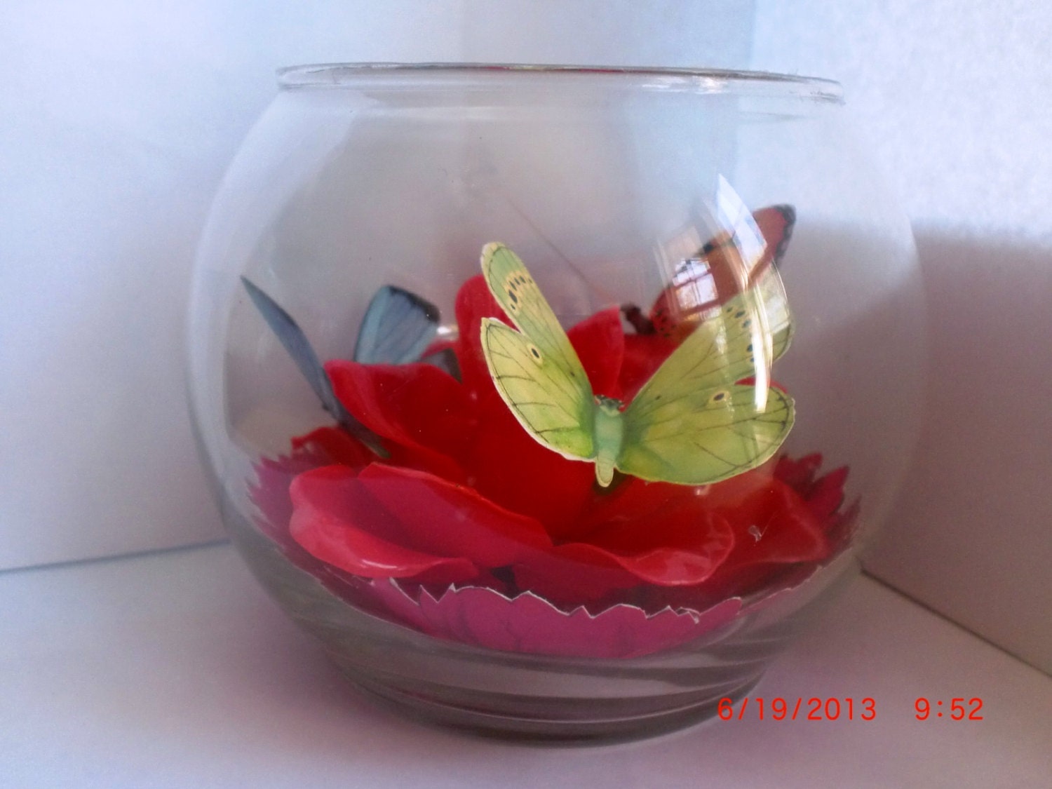 Butterfly in a Vase