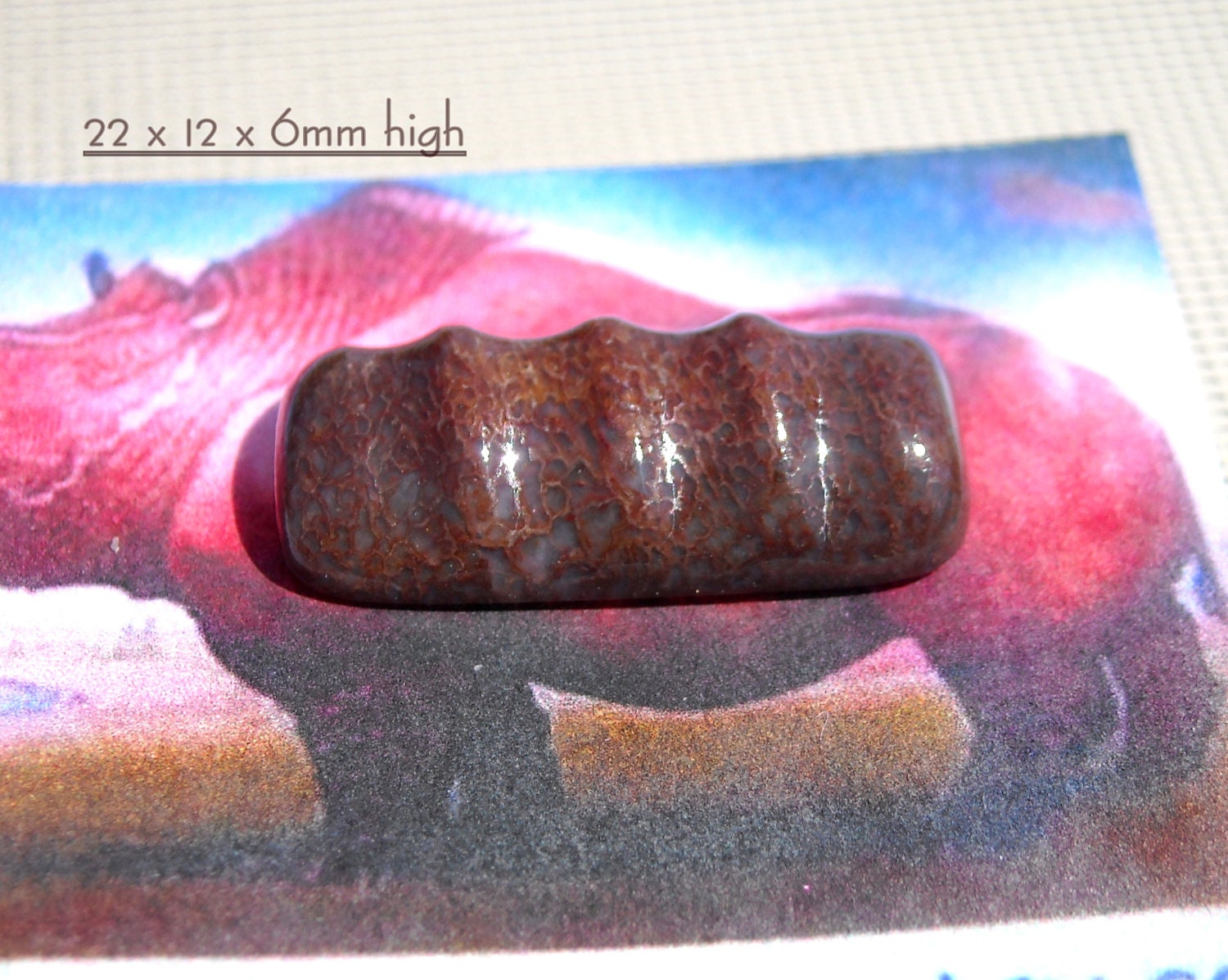 Brontothere Gem Bone