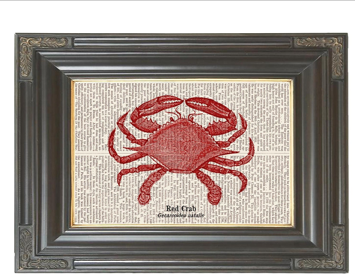 BOGO SALE Vintage print Red crab Dictionary art print Beach Ocean printed on 100 year old antique dictionary book page No. 391