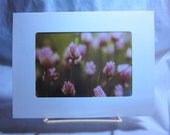 Art Card Original Photography Jungle Road Chives