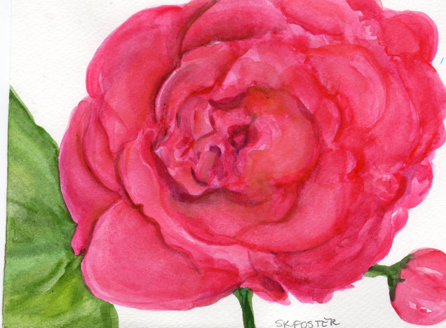 Red Peony Watercolor Painting, Original Flowers painting, 4 x 6