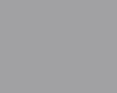 Designer Solids / NuGray / Free Spirit / Premium Cotton Quilt  Apparel Fabric  -1 Yard