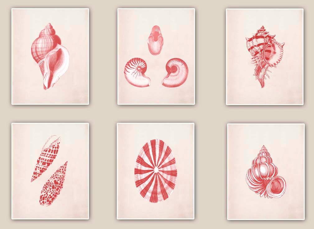Vintage Seashells Prints in garnet red, Set of six 8x10  prints, seashore shells, Marine Natural history, Nautical art