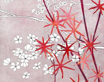 Illustration -Fine Art Print from an original drawing - Maintenon Rose