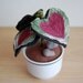 SALE Heart Leaf Stuffed Plant