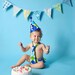 Boy's Fabric Flag Bunting Decoration, Designer's Choice Blue and Green Flag Banner, Photo Prop, Party Decoration. 7 Medium Sized Flags.