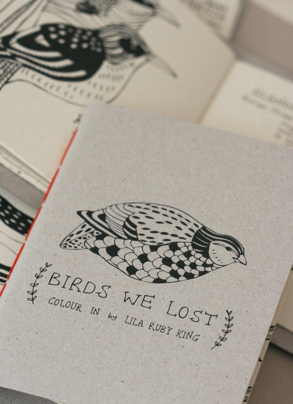 Birds We Lost - Colouring Book