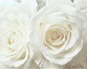 Unfold - Floral Photography Print