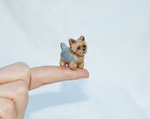 OOAK Hand Made Sculpted Tiny Miniature Critter by Amber Rose Creations. Yorkshire Terrier Puppy Dog Or custom wild animal or pet